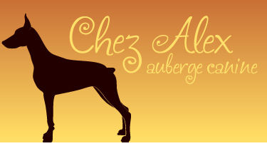 Chez Alex Auberge canine